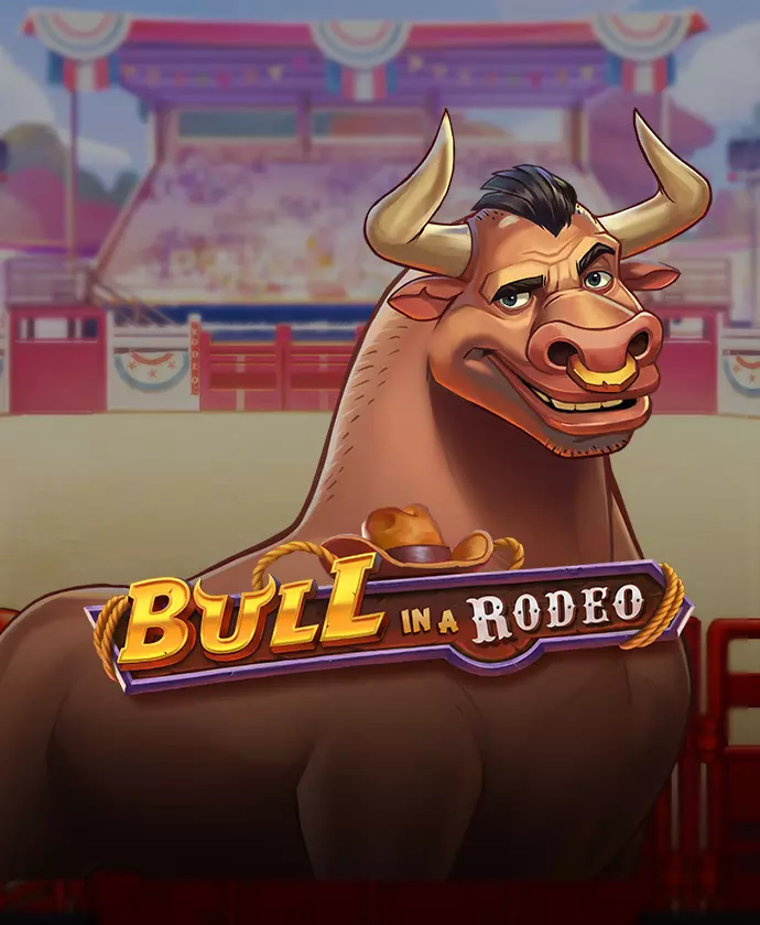 Bull in a Rodeo